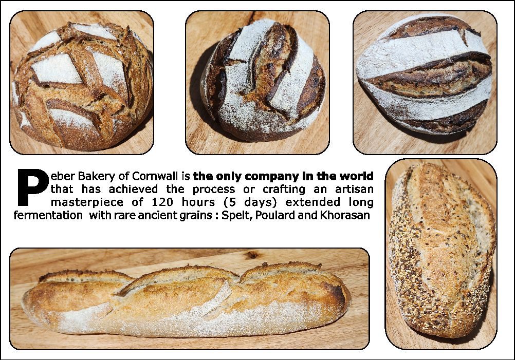 Various types of artisan bread from a bakery, showcasing different shapes and textures.