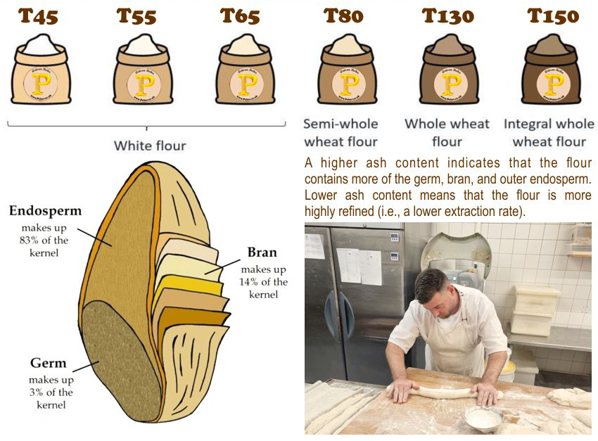 Illustration showing types of flour with labels and a baker working with dough.