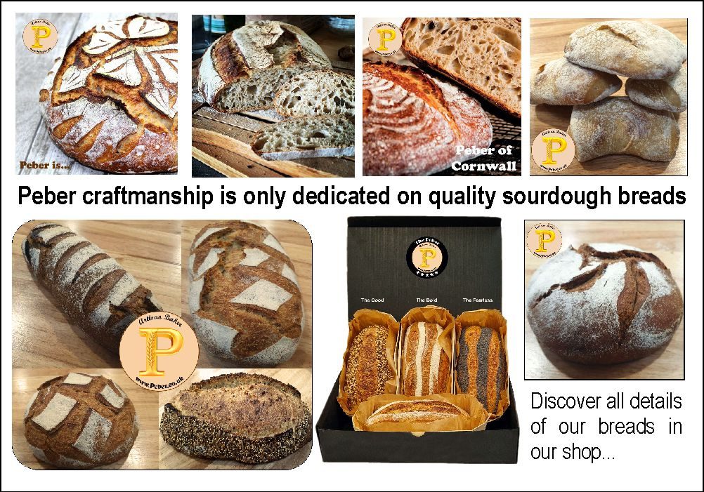 A variety of artisanal sourdough breads, showcasing different shapes and textures.